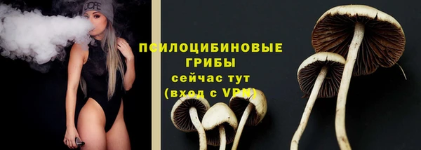 ECSTASY Алзамай