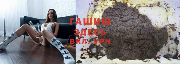 хмурый Алексин