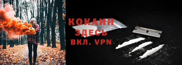 хмурый Алексин
