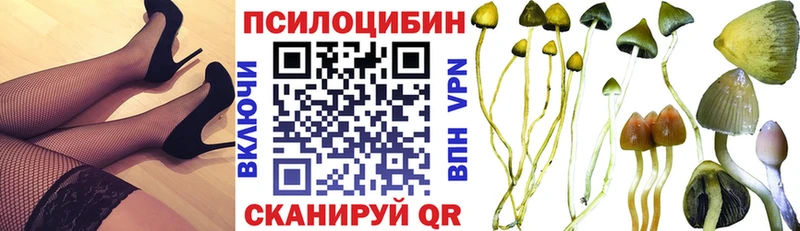 Галлюциногенные грибы Psilocybe  как найти закладки  мега ONION  Изобильный 