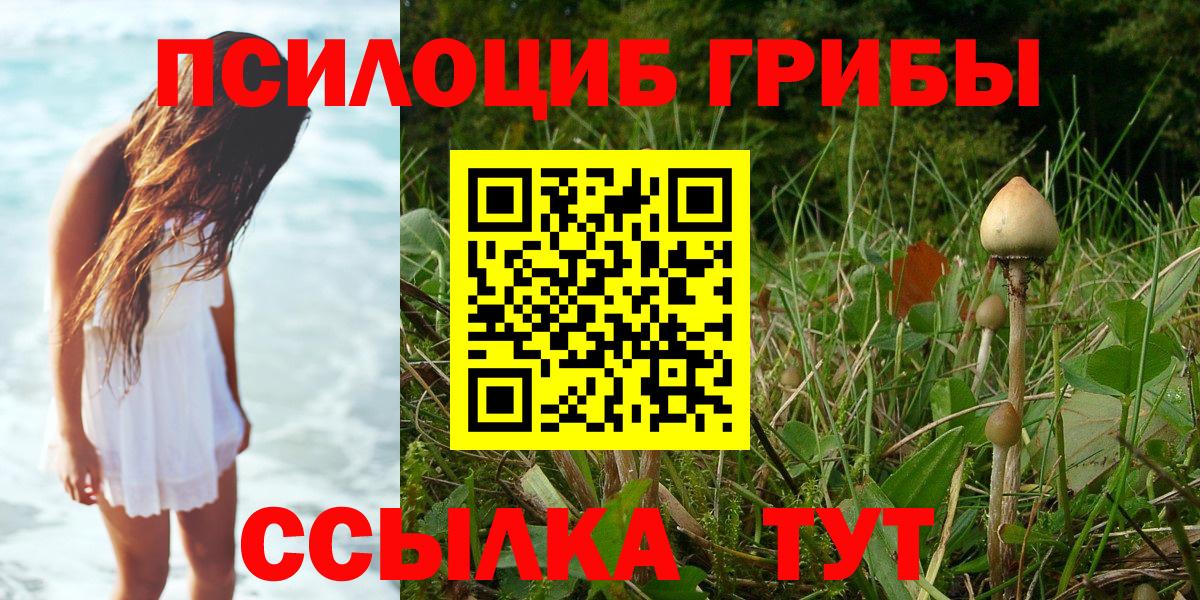 Псилоцибиновые грибы мухоморы  Вход с VPN  Псилоцибиновые грибы ЛСД  Изобильный 